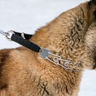 Ошейник строгий с металлическим фастексом и защитными колпачками, 63 см, толщина проволоки 4 - Фото 11