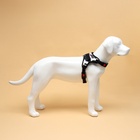 Шлейка К7, размер XL, ОГ 74-92 см, вес 28-47.5 кг, мягкая, светоотражающая, хаки - Фото 4