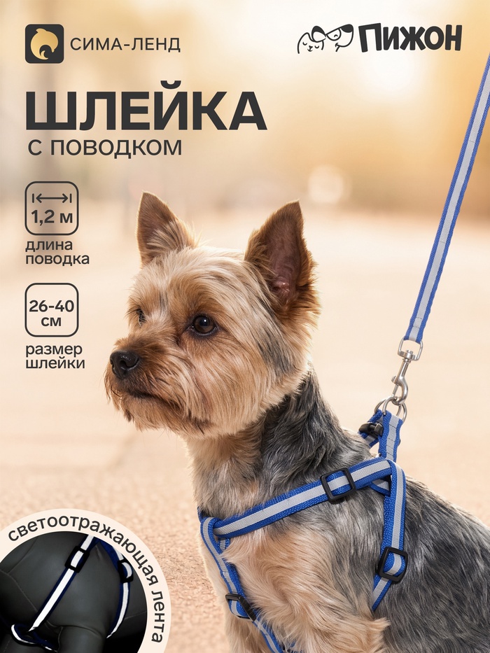Комплект со светоотражающей лентой, ширина 1 см, поводок 120 см, шлейка 26-40 см, синий - Фото 1