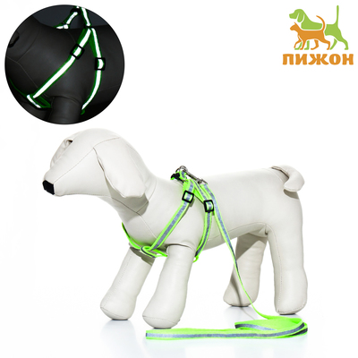 Комплект со светоотражающей лентой, ошейник 120×1 см, ОГ 26-40 см, зеленый