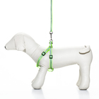 Комплект со светоотражающей лентой, ошейник 120×1 см, ОГ 26-40 см, зеленый - Фото 2