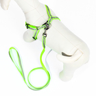 Комплект со светоотражающей лентой, ошейник 120×1 см, ОГ 26-40 см, зеленый - Фото 3