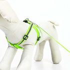 Комплект со светоотражающей лентой, ошейник 120×1 см, ОГ 26-40 см, зеленый - Фото 4