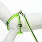 Комплект со светоотражающей лентой, ошейник 120×1 см, ОГ 26-40 см, зеленый - Фото 5