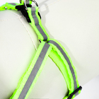 Комплект со светоотражающей лентой, ошейник 120 х 1 см, ОГ 26-40 см, зеленый - Фото 6