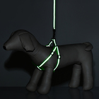 Комплект со светоотражающей лентой, ошейник 120×1 см, ОГ 26-40 см, зеленый - Фото 10