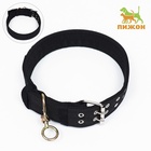 Ошейник четырехслойный с вертлюгом, 80×4.9 см, ОШ 64-74 см, полиэстер, чёрный - Фото 2