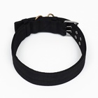 Ошейник четырехслойный с вертлюгом, 80×4.9 см, ОШ 64-74 см, полиэстер, чёрный - Фото 3
