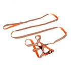 Комплект со светоотражающей лентой, ошейник 120 х 1 см, ОГ 26-40 см, оранжевый - Фото 2