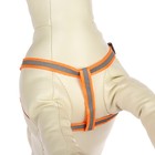 Комплект со светоотражающей лентой, ошейник 120 х 1 см, ОГ 26-40 см, оранжевый - Фото 4