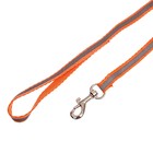 Комплект со светоотражающей лентой, ошейник 120 х 1 см, ОГ 26-40 см, оранжевый - Фото 5