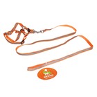 Комплект со светоотражающей лентой, ошейник 120 х 1 см, ОГ 26-40 см, оранжевый - Фото 6