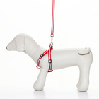 Комплект со светоотражающей лентой, ошейник 120×1 см, ОГ 26-40 см, красный - Фото 2