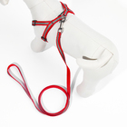 Комплект со светоотражающей лентой, ошейник 120×1 см, ОГ 26-40 см, красный - Фото 3