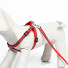 Комплект со светоотражающей лентой, ошейник 120×1 см, ОГ 26-40 см, красный - Фото 4