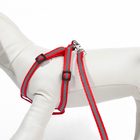 Комплект со светоотражающей лентой, ошейник 120×1 см, ОГ 26-40 см, красный - Фото 5