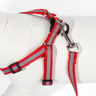 Комплект со светоотражающей лентой, ошейник 120×1 см, ОГ 26-40 см, красный - Фото 6