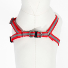 Комплект со светоотражающей лентой, ошейник 120×1 см, ОГ 26-40 см, красный - Фото 7