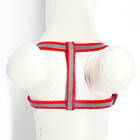 Комплект со светоотражающей лентой, ошейник 120×1 см, ОГ 26-40 см, красный - Фото 8