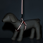 Комплект со светоотражающей лентой, ошейник 120×1 см, ОГ 26-40 см, красный - Фото 10