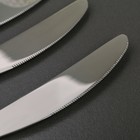 Ножи столовые Доляна «Майя», длина 23 см, 3 шт, цвет серебряный - Фото 2