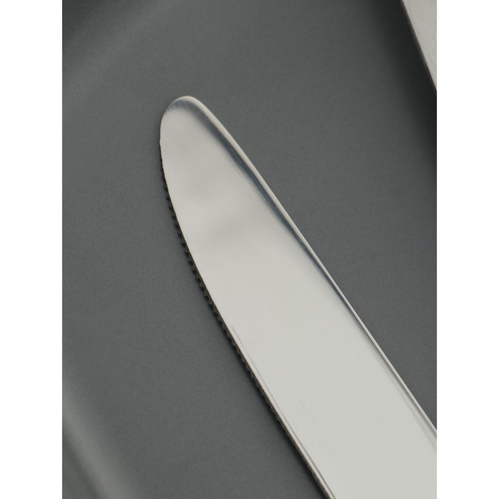 Ножи столовые из нержавеющей стали Доляна «Капля», длина 23 см, 6 шт, цвет серебряный - фото 1890775736