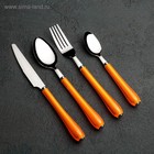 Набор столовых приборов Доляна «Леденцы», 4 предмета, нержавеющая сталь, МИКС - Фото 11