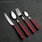 Набор столовых приборов Доляна «Леденцы», 4 предмета, нержавеющая сталь, МИКС - Фото 12