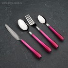 Набор столовых приборов Доляна «Леденцы», 4 предмета, нержавеющая сталь, МИКС - Фото 13