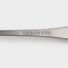 Набор чайных ложек Доляна «Капля», 15 см, 6 шт., нержавеющая сталь, серебристый - Фото 6