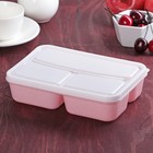 Ланч-бокс пластиковый, 21×14,5×5,3 см, 3 отделения, цвет МИКС - Фото 1