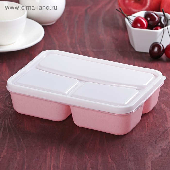 Ланч-бокс пластиковый, 21×14,5×5,3 см, 3 отделения, цвет МИКС - Фото 1