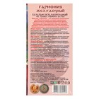 Безалкогольный алтайский бальзам на травах «Гармония» желудочный, 250 мл - Фото 2