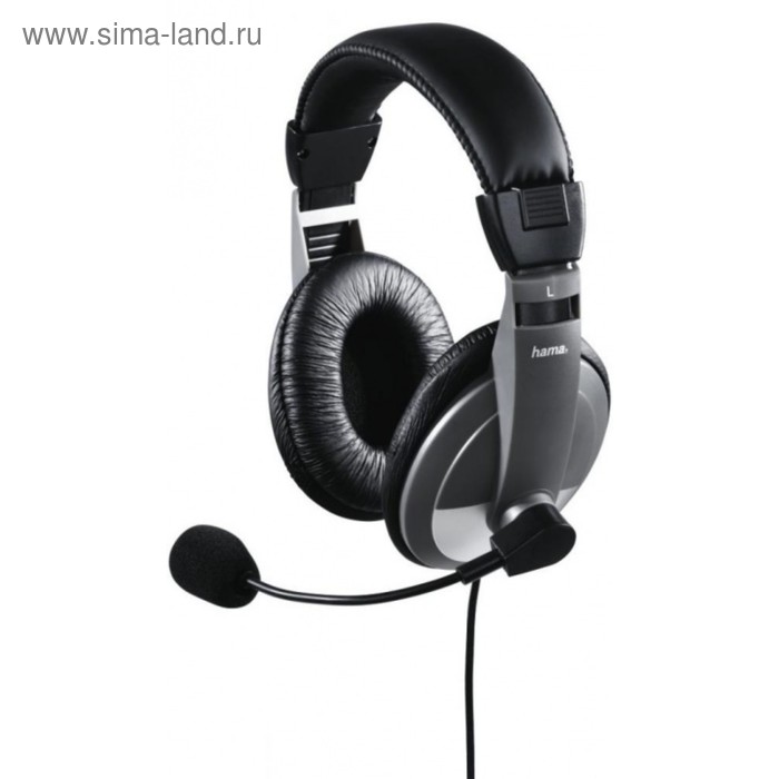 Наушники с микрофоном Hama AH-100 2м мониторы оголовье (00053994) черный/серебристый - Фото 1