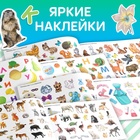 100 наклеек набор «Развивающие», 4 шт. по 12 стр. - Фото 3