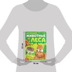 Книги картонные набор «Для малышей» № 1, 4 шт., 10 стр. - Фото 3