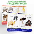 Книги картонные набор «Для малышей» № 1, 4 шт., 10 стр. - Фото 5