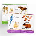 Книги картонные набор «Для малышей» № 1, 4 шт., 10 стр. - Фото 6