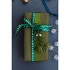 Лента атласная «Олени», 15 мм, 23±1 м, зелёная - Фото 3