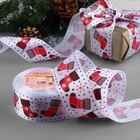 Лента атласная «Валенки», 50 мм, 23±1 м, белая - Фото 2