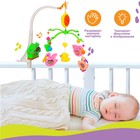 Мобиль музыкальный на кроватку «Пряничный Домик. Птицы», заводной, Крошка Я - Фото 3