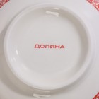 Салатник керамический Доляна «Джавлон», 600 мл, d=14,5 см, цвет красный - Фото 5