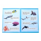 Наклейки «Моя первая энциклопедия. Подводный мир», формат А4, 8 стр. + плакат - Фото 2