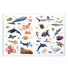 Наклейки «Моя первая энциклопедия. Подводный мир», формат А4, 8 стр. + плакат - Фото 3