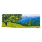 100 наклеек «Животные России», 12 стр. - Фото 2