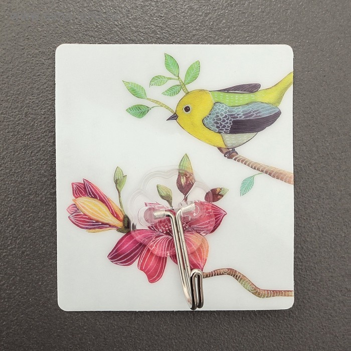 Крючок самоклеящийся «Лотос», цвет МИКС - Фото 1