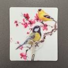 Крючок самоклеящийся «Лотос», цвет МИКС - Фото 4