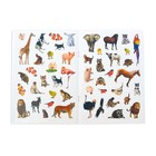 Наклейки детские «111 наклеек. Счёт», 12 стр. - Фото 3