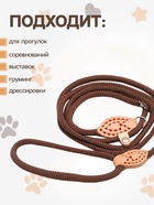 Ринговка для собак, 150×0.6 см, коричневая - Фото 2