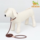 Ринговка для собак, 150×0.6 см, коричневая - Фото 4